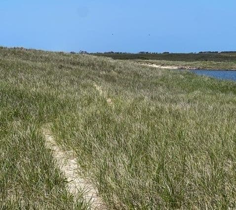 Hummock Pond