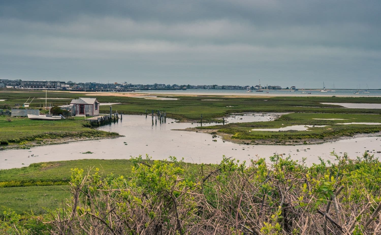 Nantucket tidal marsh with dock.
